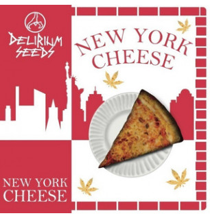 New York Cheese Auto- Delirium Seeds X1
