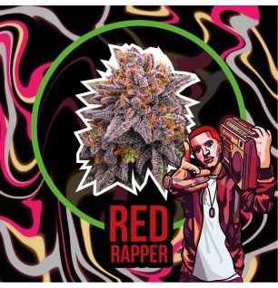 Red Rapper Auto - Delirium Seeds x1