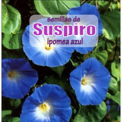 Semillas de Suspiro Azul - 2 gr