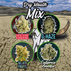 Dry Mouth Auto Mix - Delirium Seeds