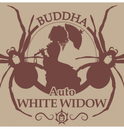Buddha Auto White Widow Classic X3 - Buddah Seeds