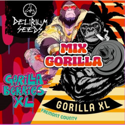 Delirium Seeds - Gorilla Berries XL Automatica X1