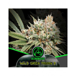 Delirium Seeds - Wild Green Poison D Automatica X1