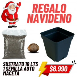 Regalo Navidad