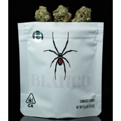 Auto – Mad Cow Genetics x Lemonnade X3 (Edición Especial Cultivador Élite)