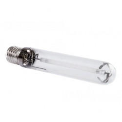 Ampolleta Sodio SHP 600 W