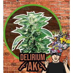 Ak Fast Version Delirium Seeds