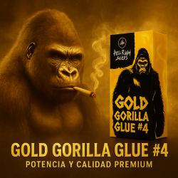 Gold Gorilla Glue 4 Auto - DeliriumSeeds (Packs: X4)