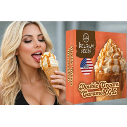 Double Cream Caramel XL Auto X1 Delirium Seeds