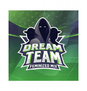 Dream team mix feminizadas BSF Seeds