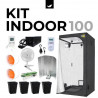 La Picá del Gordo - Kit Indoor Completo 100x100x200 cms