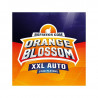 Orange Blossom XXL Auto - Bsf Seeds