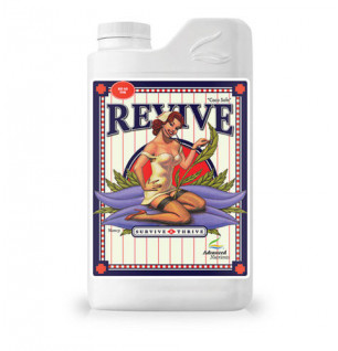 Revive