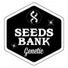 Auto skunk Seeds Bank