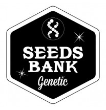 Auto skunk Seeds Bank