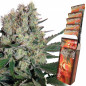 Syrup Buddha Seeds Syrup Buddha Seeds