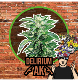 Auto Delirium AK - Delirium Seeds