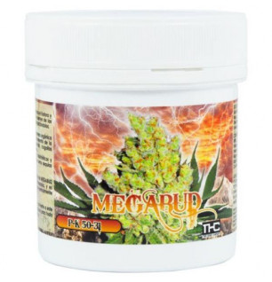 Mega Bud engorde cogollos