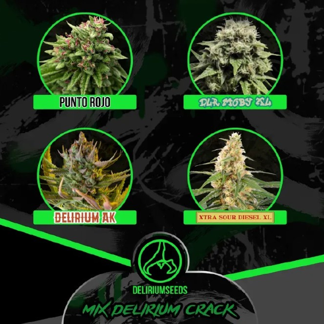 Imagen del producto
